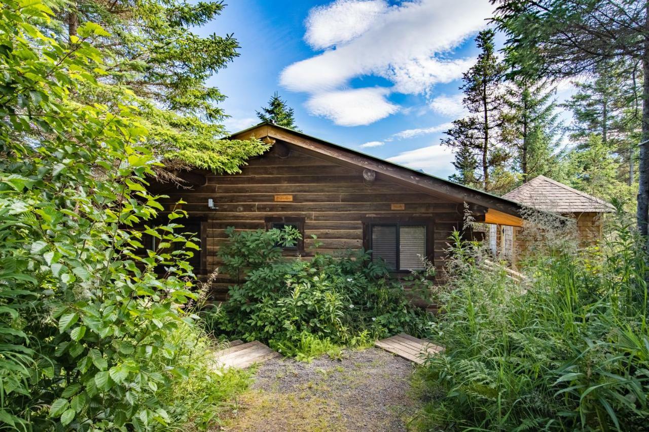 Stillpoint Lodge - All-Inclusive Halibut Cove 외부 사진