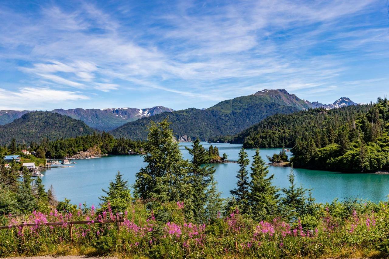 Stillpoint Lodge - All-Inclusive Halibut Cove 외부 사진
