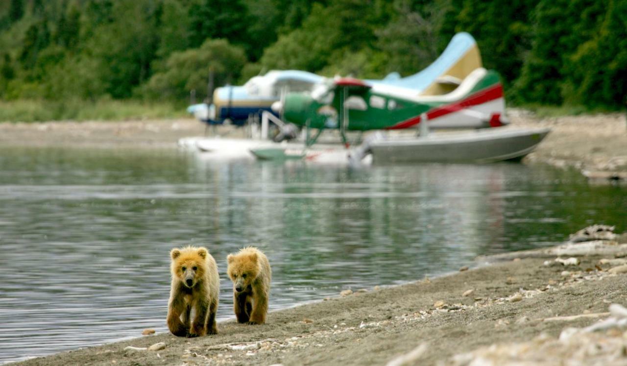 Stillpoint Lodge - All-Inclusive Halibut Cove 외부 사진