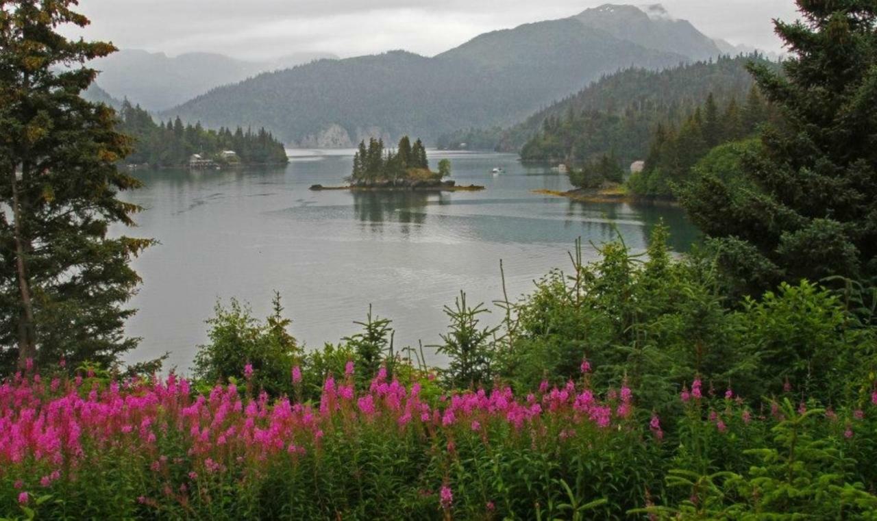 Stillpoint Lodge - All-Inclusive Halibut Cove 외부 사진
